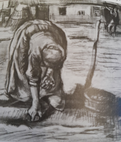 vincent
