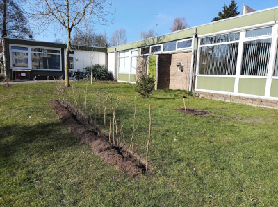 pluktuin